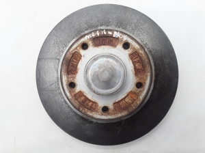 Bremsscheibe hinten - 432009292R