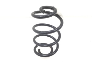 Rear spring