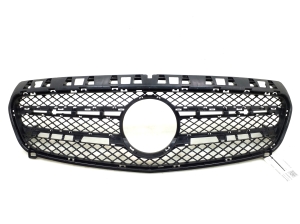 Front grille - A1768880260