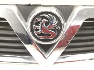 Opel Signum (2003–2008) Kühlergrill und seine Teile - 3