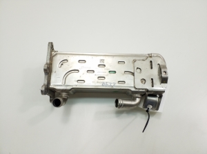   EGR valve cooler 