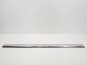   Zierleiste Tür vorne  - A2096901282 