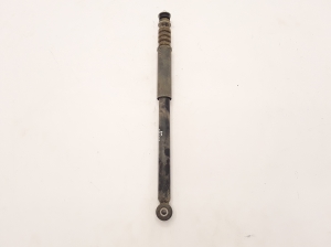   Rear shock absorber 