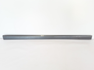   Front door molding  - 08693518 