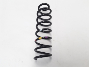   Rear spring 