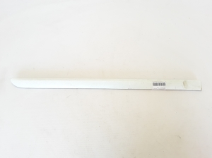 Rear side door molding - 828720001R