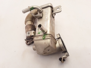   EGR valve cooler 