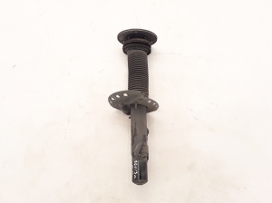   Stoßdämpfer vorne  - 31262896 