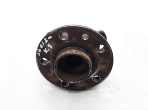 Rear wheel hub - 31329968