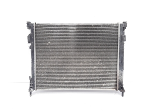 NISSAN Primastar X83 (2001–2014) Jahutusradiaator 8200073817 - 3