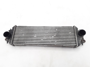 NISSAN Primastar X83 (2001–2014) Ladeluftkühler 7700312903 - 3