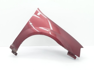 Front fender - 6001549973