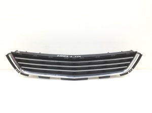Front bumper lower grille