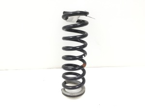 NISSAN Pathfinder R51 (2005–2012) Front spring - 2