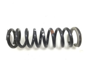 Front spring