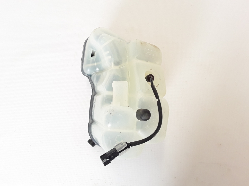 VOLVO V70 3 generation (2007-2020) Expansion Tank 31200320 22316849