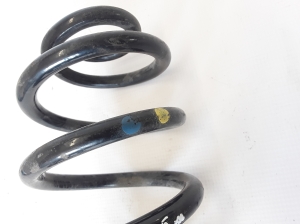 RENAULT Zoe (2012–2026) Rear spring 550202131R - 2