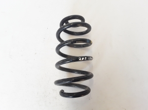 Rear spring - 550202131R