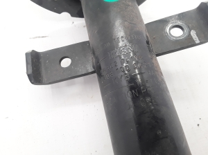 RENAULT Zoe (2012–2026) Front shock absorber 543027411R - 3