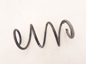 RENAULT Zoe (2012–2026) Front spring 540107003R - 2