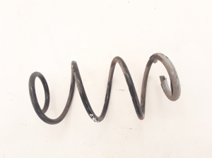 RENAULT Zoe (2012–2026) Front spring 540107003R - 3