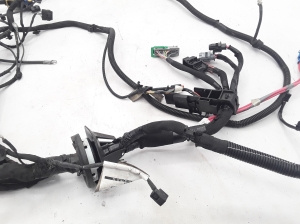 RENAULT Megane III (2008–2016) Motora elektroinstalācija 403886601R - 4