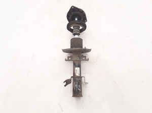   Stoßdämpfer vorne  - 543020017R 