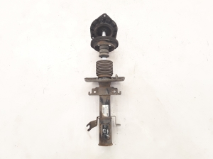   Stoßdämpfer vorne  - 543020017R 