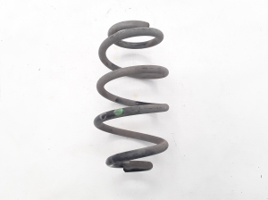 Rear spring - 550206834R