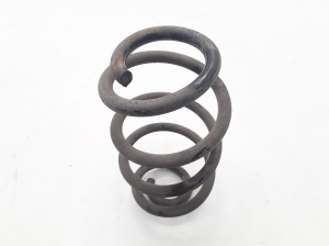 RENAULT Zoe (2012–2026) Rear spring 550206834R - 2