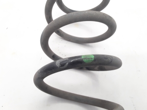 RENAULT Zoe (2012–2026) Rear spring 550206834R - 3