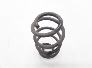 Rear spring - 550206834R