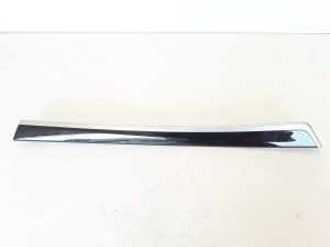 Front door panel trim - 