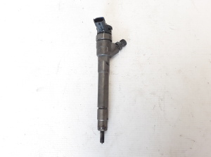   Fuel injector 