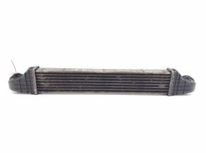 Mercedes Benz E-Class W211 (2002–2009) Intercooler A2115001002 - 4