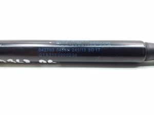 Mercedes Benz CLS-Class 218 (2011–2018) Sonstiger Stoßdämpfer A2189800264 - 2