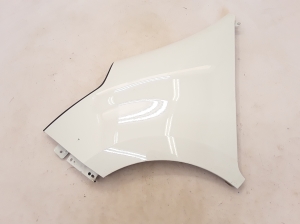 RENAULT Master III (2010–2017) Front fender 631013304R - 3