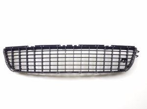 Front bumper lower grille - 551004542