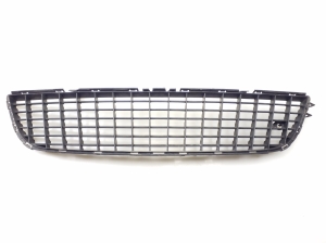Front bumper lower grille - 551004542