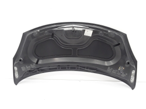 RENAULT Wind (2010–2013) Hood 651006222R - 2