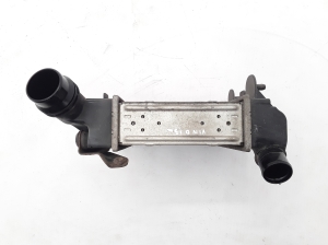 RENAULT Wind (2010–2013) Ladeluftkühler 8200369311 - 2