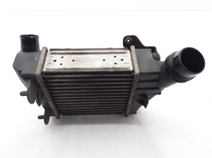 RENAULT Wind (2010–2013) Ladeluftkühler 8200369311 - 4