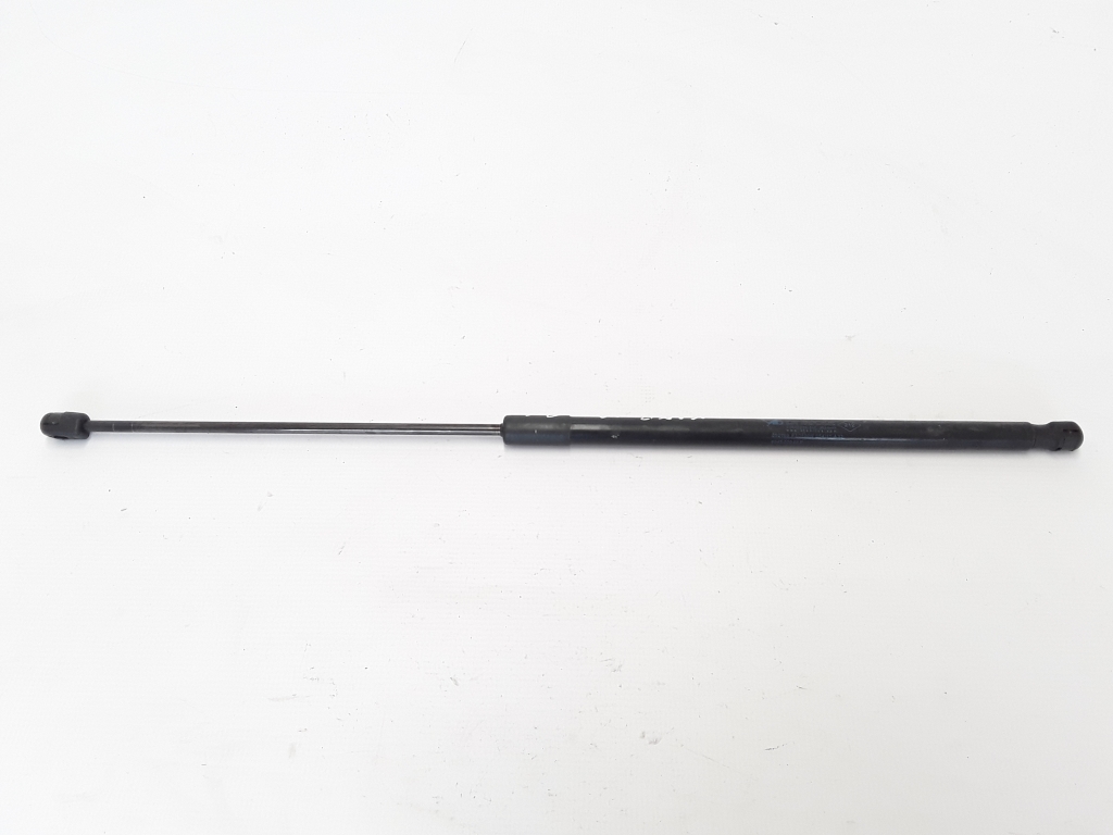 RENAULT Wind 1 generation (2010-2013) Right Side Tailgate Gas Strut 904520002r 22318902