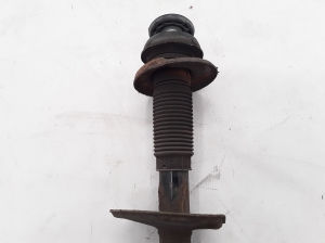 RENAULT Wind (2010–2013) Stoßdämpfer vorne 543020059R - 4