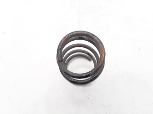 RENAULT Wind (2010–2013) Front spring 540100103R - 3