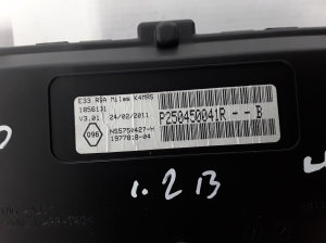 RENAULT Wind (2010–2013) Näidikuplokk P250450041R - 2