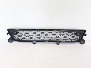  Front bumper lower grille 