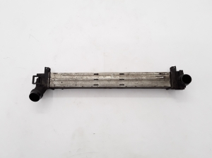 RENAULT Megane III (2008–2016) Vahejahuti radiaator 144960006R - 2