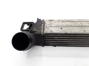 RENAULT Megane III (2008–2016) Vahejahuti radiaator 144960006R - 4