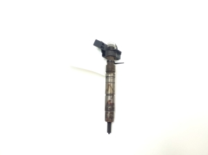   Fuel injector 